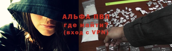эйфоретик Баксан