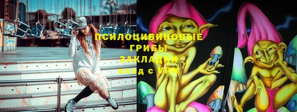 эйфоретик Баксан